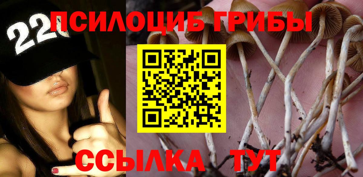 Псилоцибиновые грибы MAGIC MUSHROOMS  Псилоцибиновые грибы Psilocybine cubensis  Ангарск  Вход с VPN 